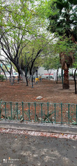 jardin plaza principal topo chico.jpg