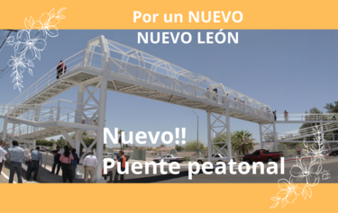 Nuevo Puente Peatonal Av Venustiano Carranza