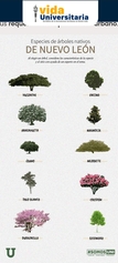 Campaña de arborización plantas nativas.