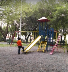 Plan de mantenimiento general de parques, plazas y área verdes de recreación y esparcimiento del Sector Chapultepec.